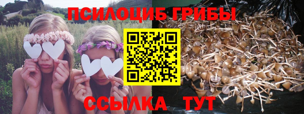 Псилоцибиновые грибы мицелий  Галлюциногенные грибы мухоморы  Новочебоксарск  Вход с VPN 